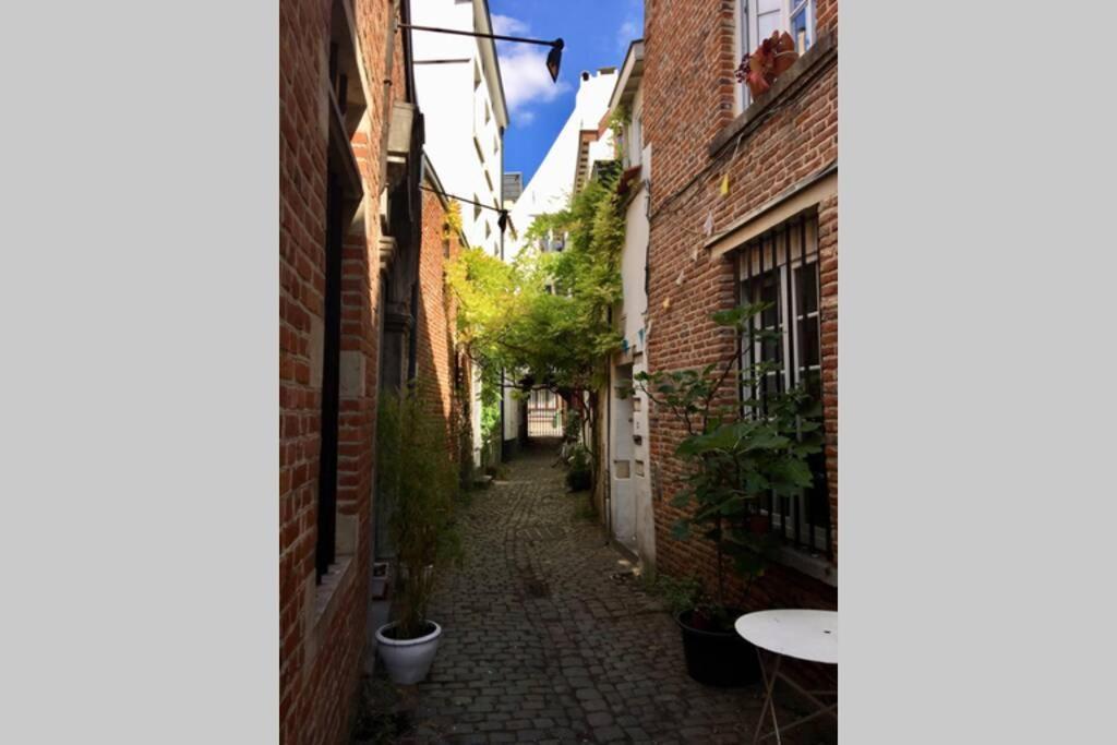 En Plein Coeur De Bruxelles. Superbe Duplex.A Voir! Екстериор снимка