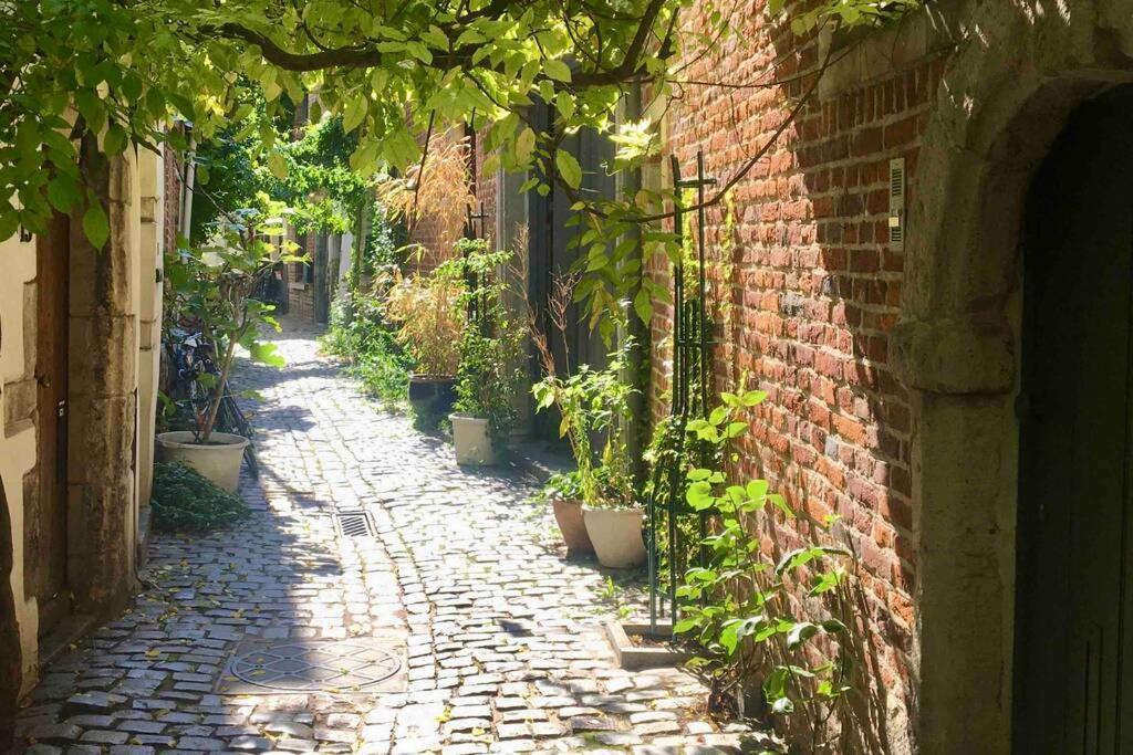 En Plein Coeur De Bruxelles. Superbe Duplex.A Voir! Екстериор снимка