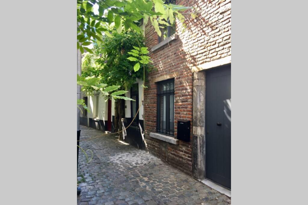 En Plein Coeur De Bruxelles. Superbe Duplex.A Voir! Екстериор снимка